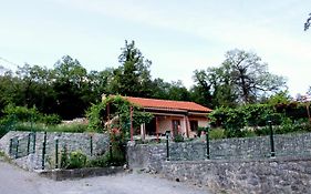 Holiday Home Gazevic
