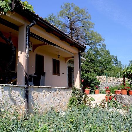 Holiday Home Gazevic Virpazar Exteriér fotografie